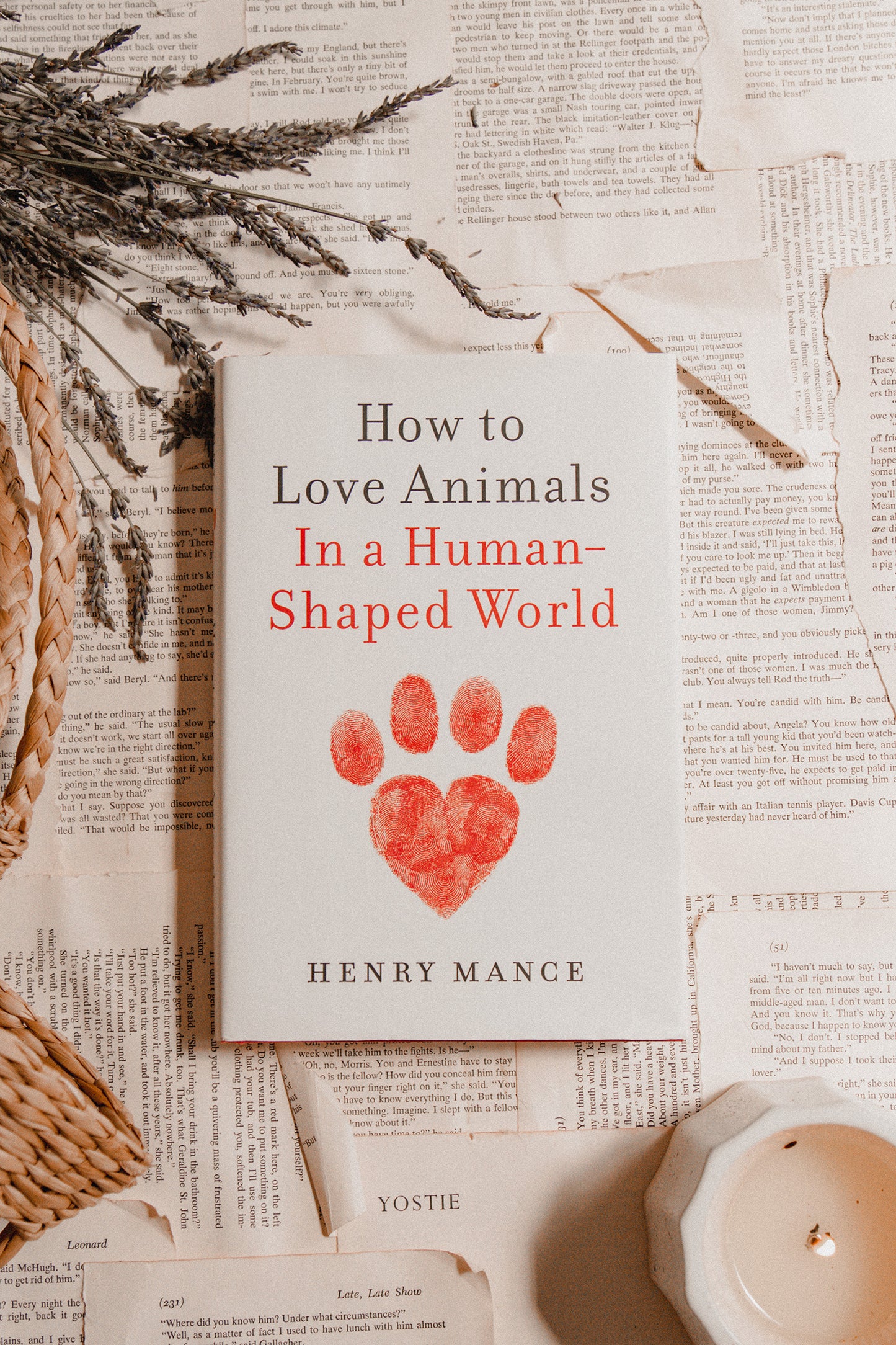 How to Love Animals in a Human-Shaped World by Henry Mance