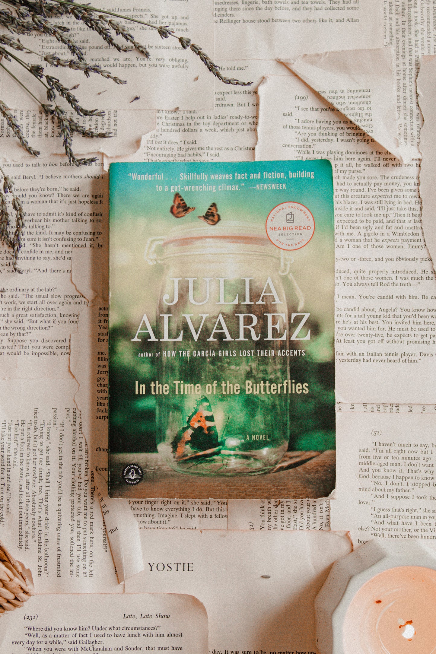 In the Time of Butterflies by Julia Alvarez