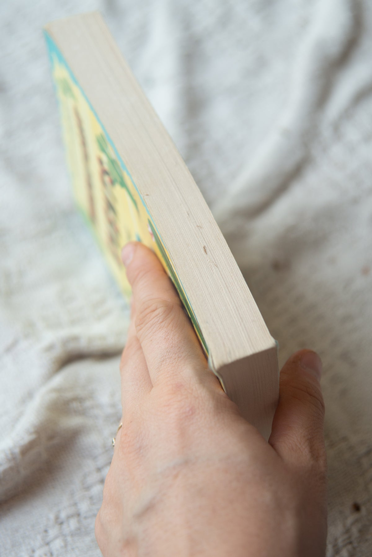 Insignificant Events in the Life of a Cactus by Dusti Bowling