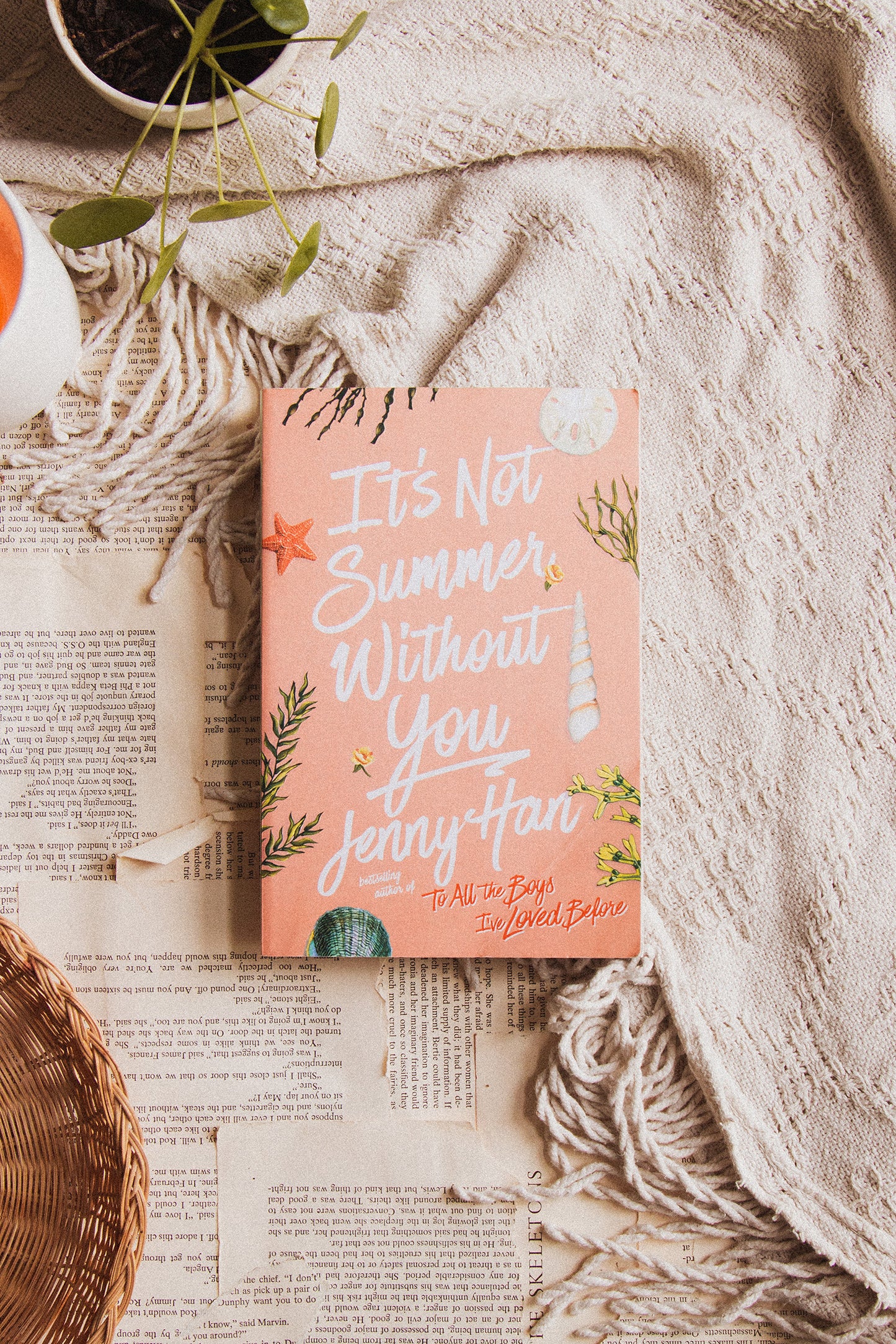 It's Not Summer Without You by Jenny Han