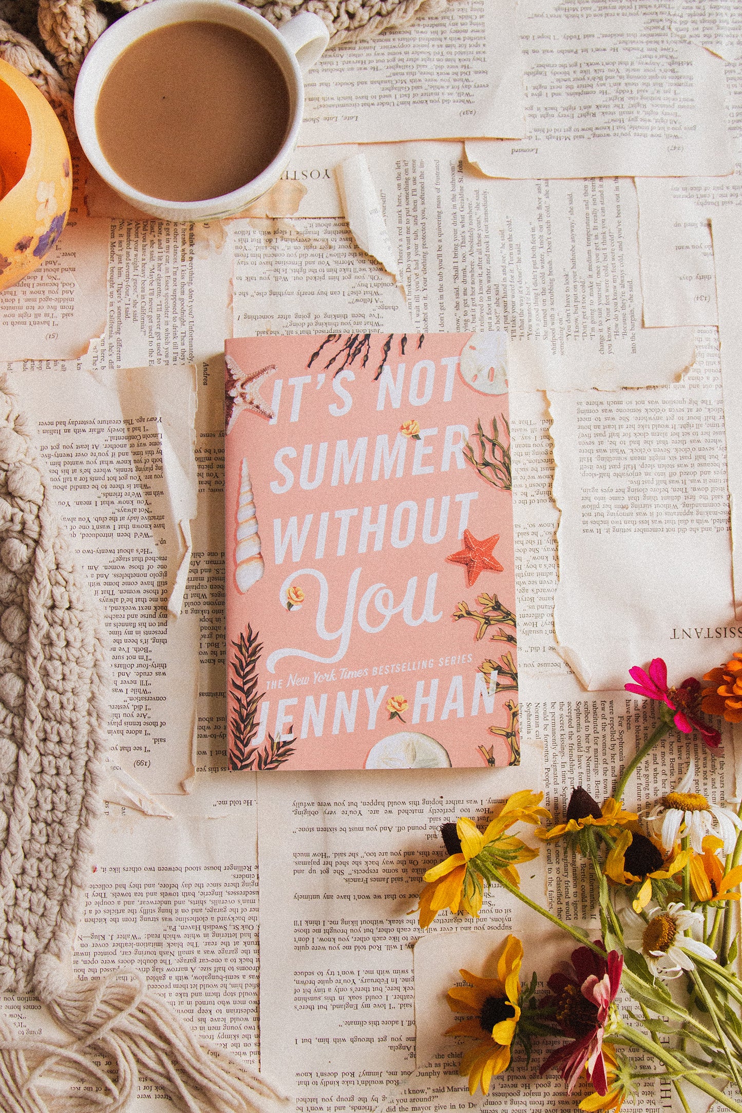 It's Not Summer Without You by Jenny Han