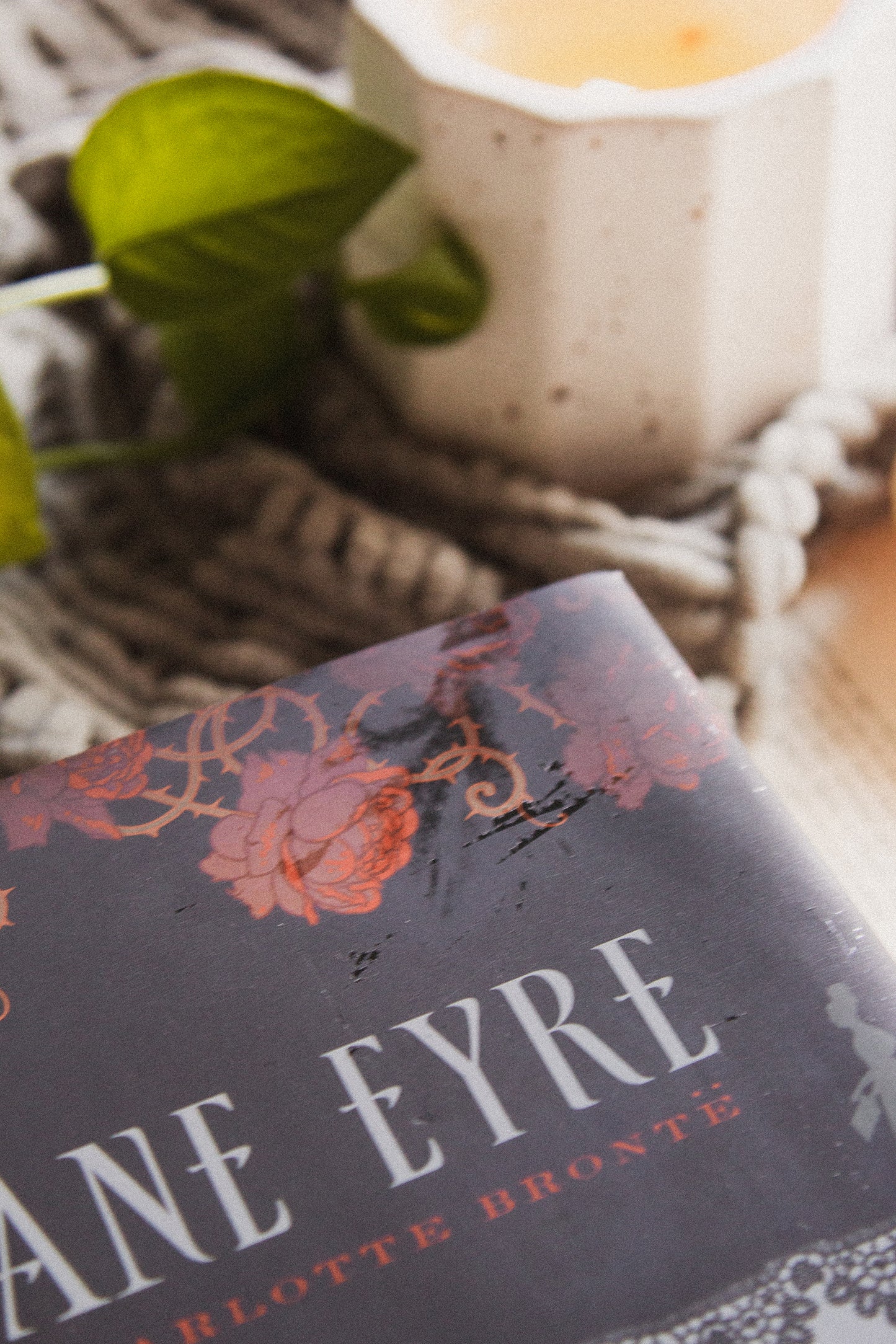 Jane Eyre & Wuthering Heights by Charlotte & Emily Bronte