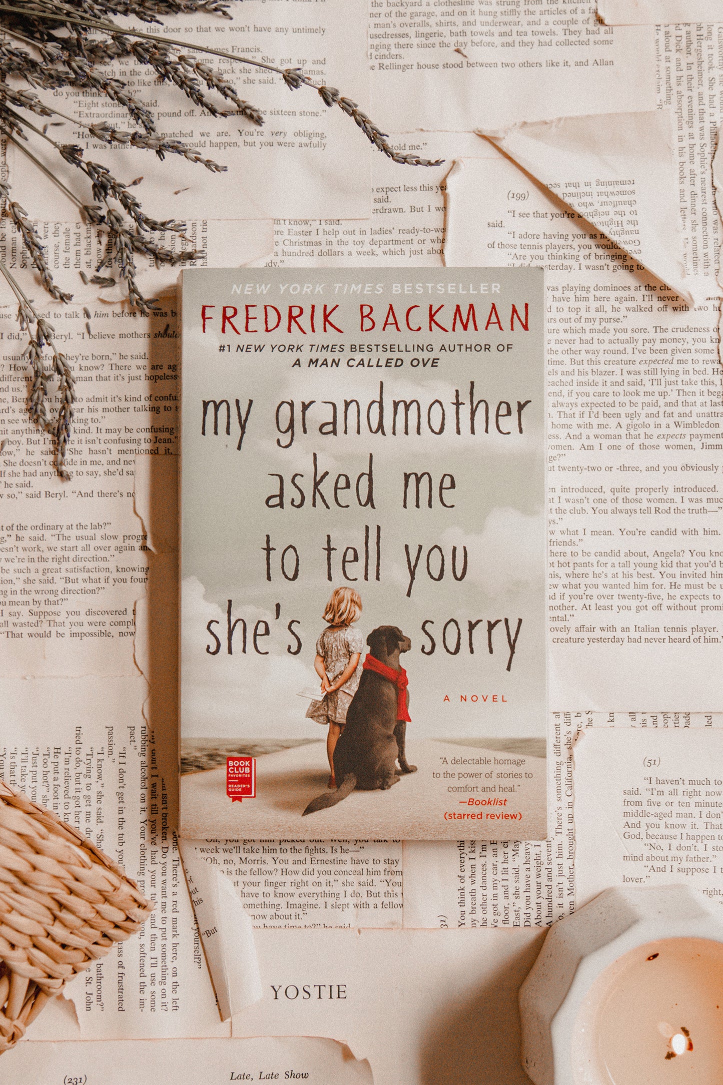 My Grandmother Asked Me to Tell You She's Sorry by Fredrik Backman