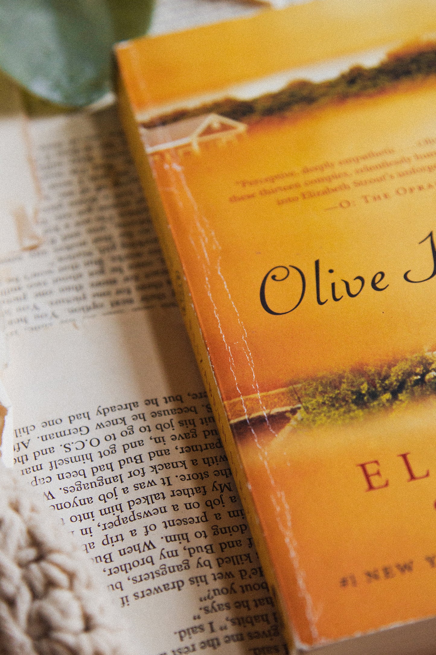 Olive Kitteridge by Elizabeth Strout