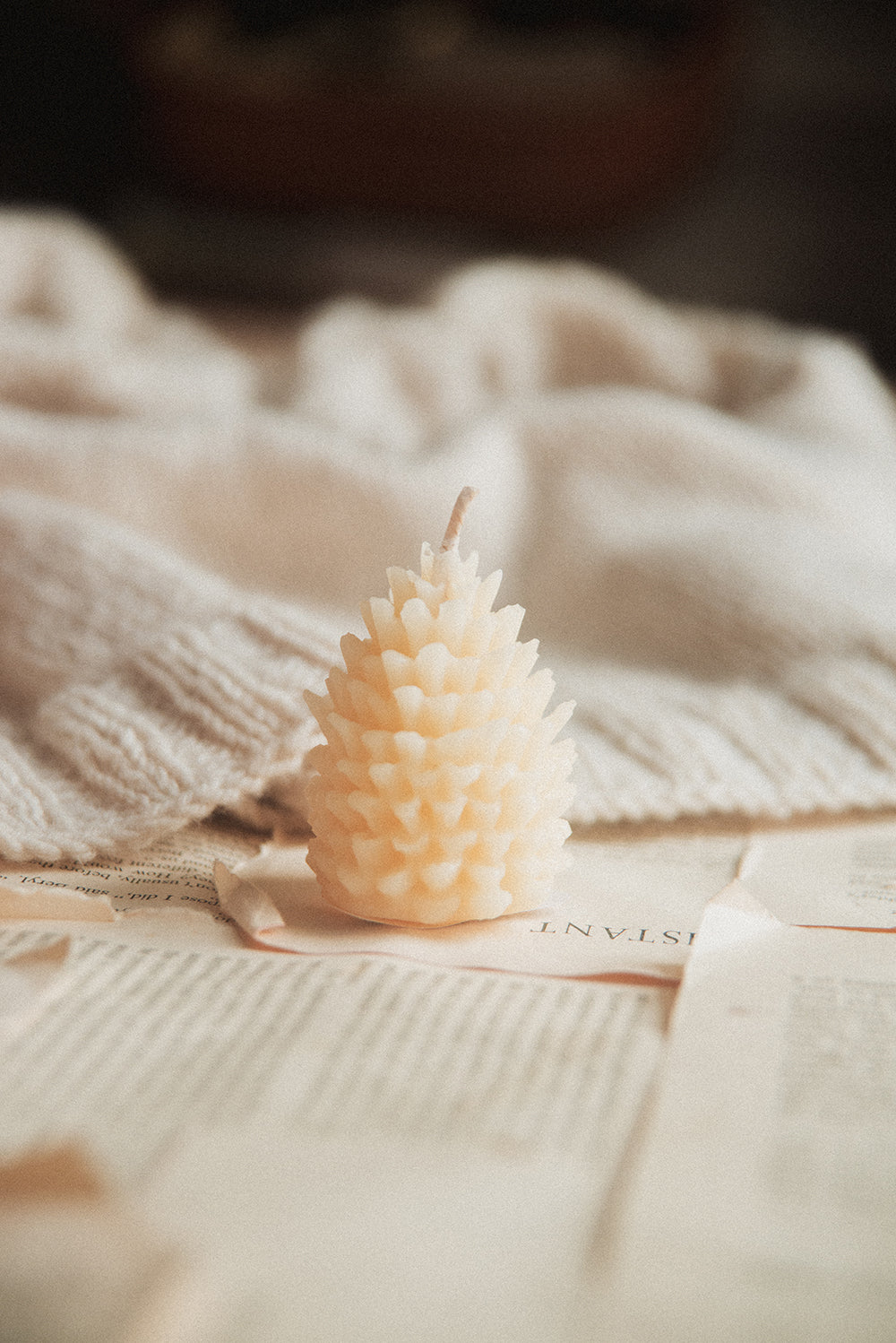 Beeswax Pinecone Candle