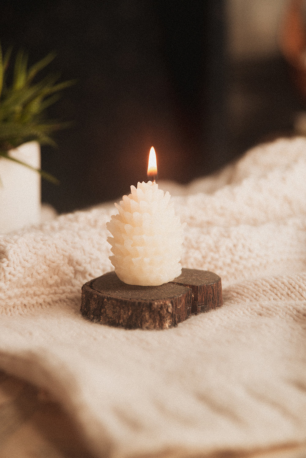 Beeswax Pinecone Candle