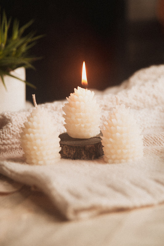 Beeswax Pinecone Candle