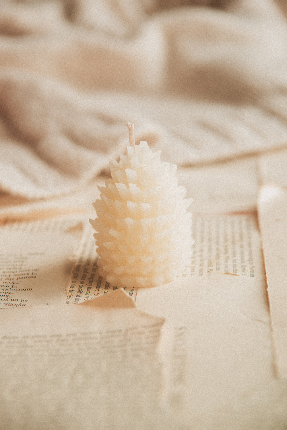 Beeswax Pinecone Candle