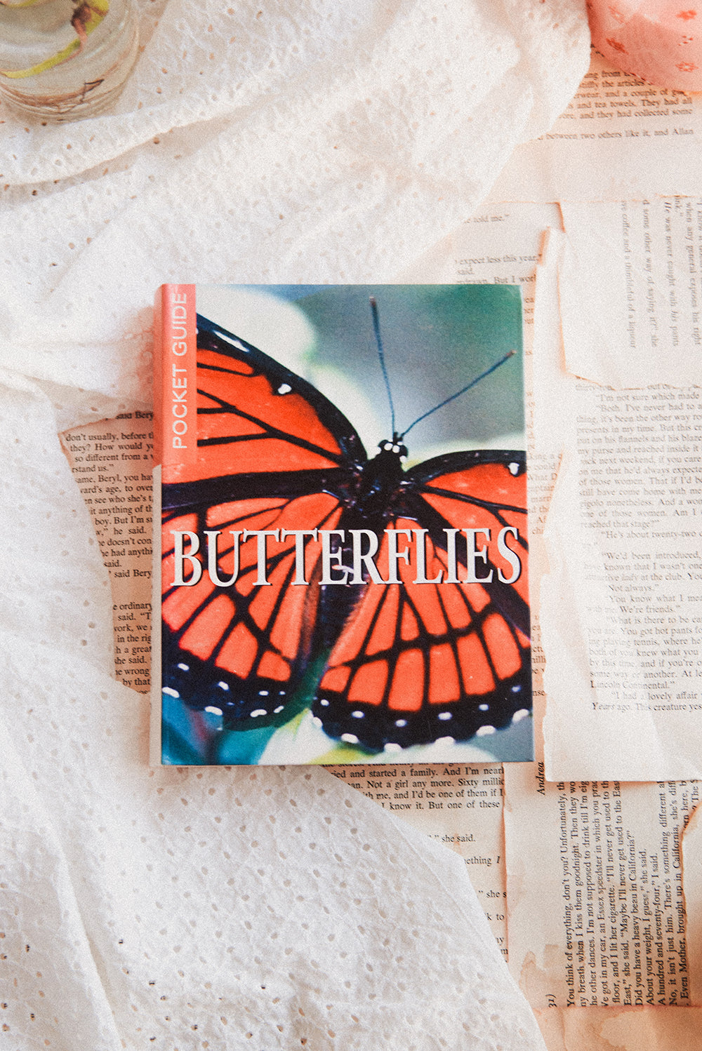 Butterflies Pocket Guide