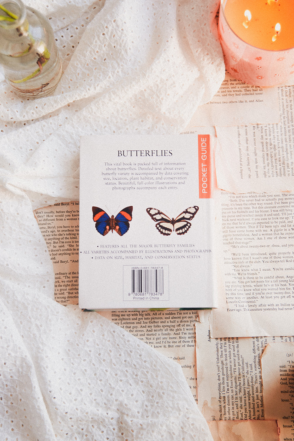 Butterflies Pocket Guide