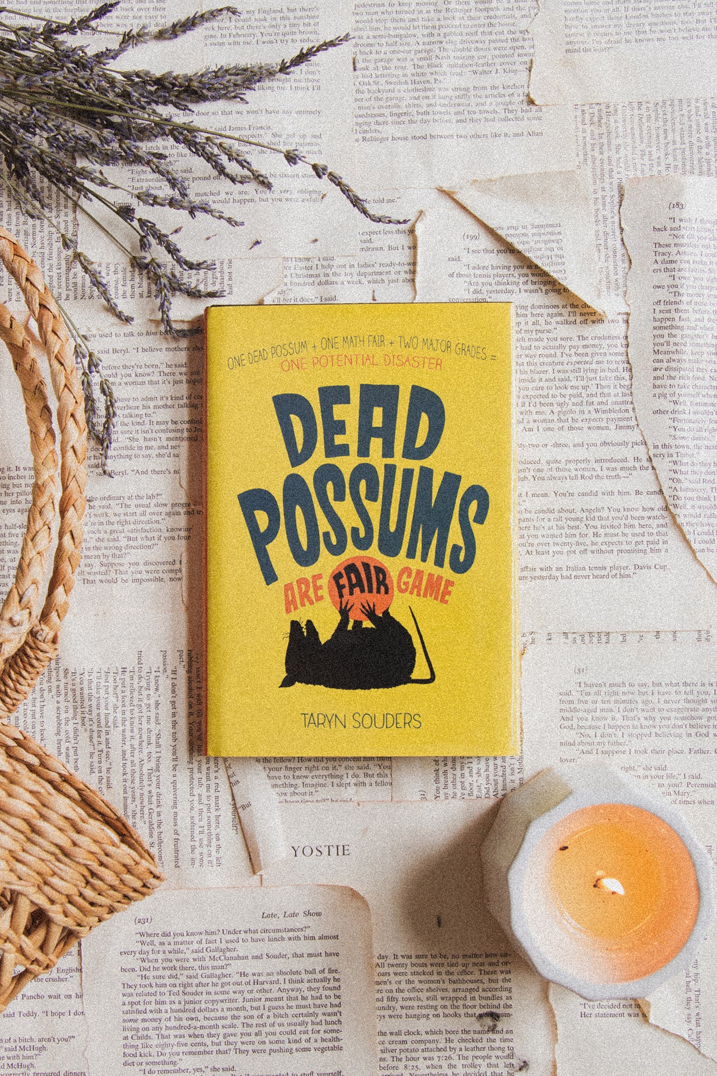 Dead Possums are Fair Game by Taryn Souders