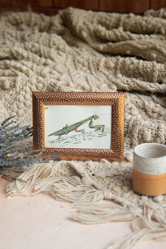 Original Watercolor Praying Mantis in Copper Frame
