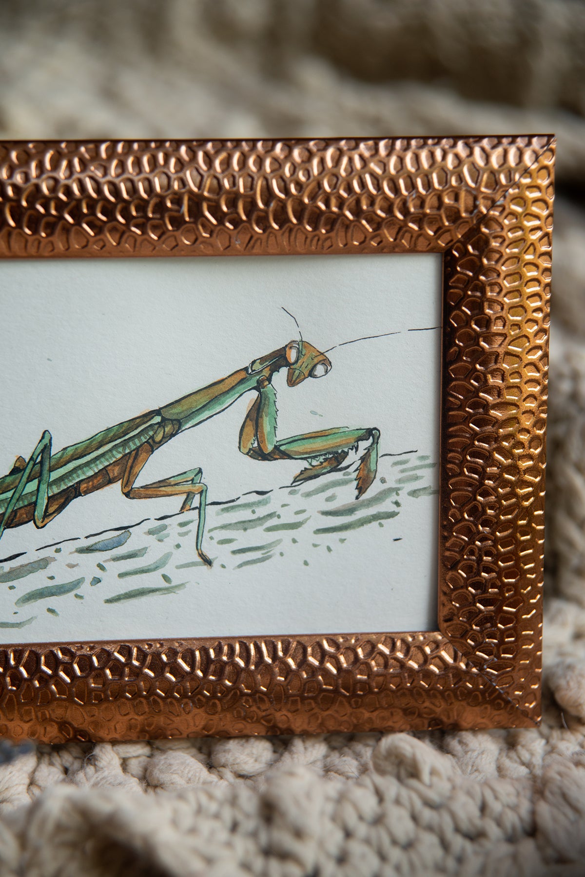 Original Watercolor Praying Mantis in Copper Frame