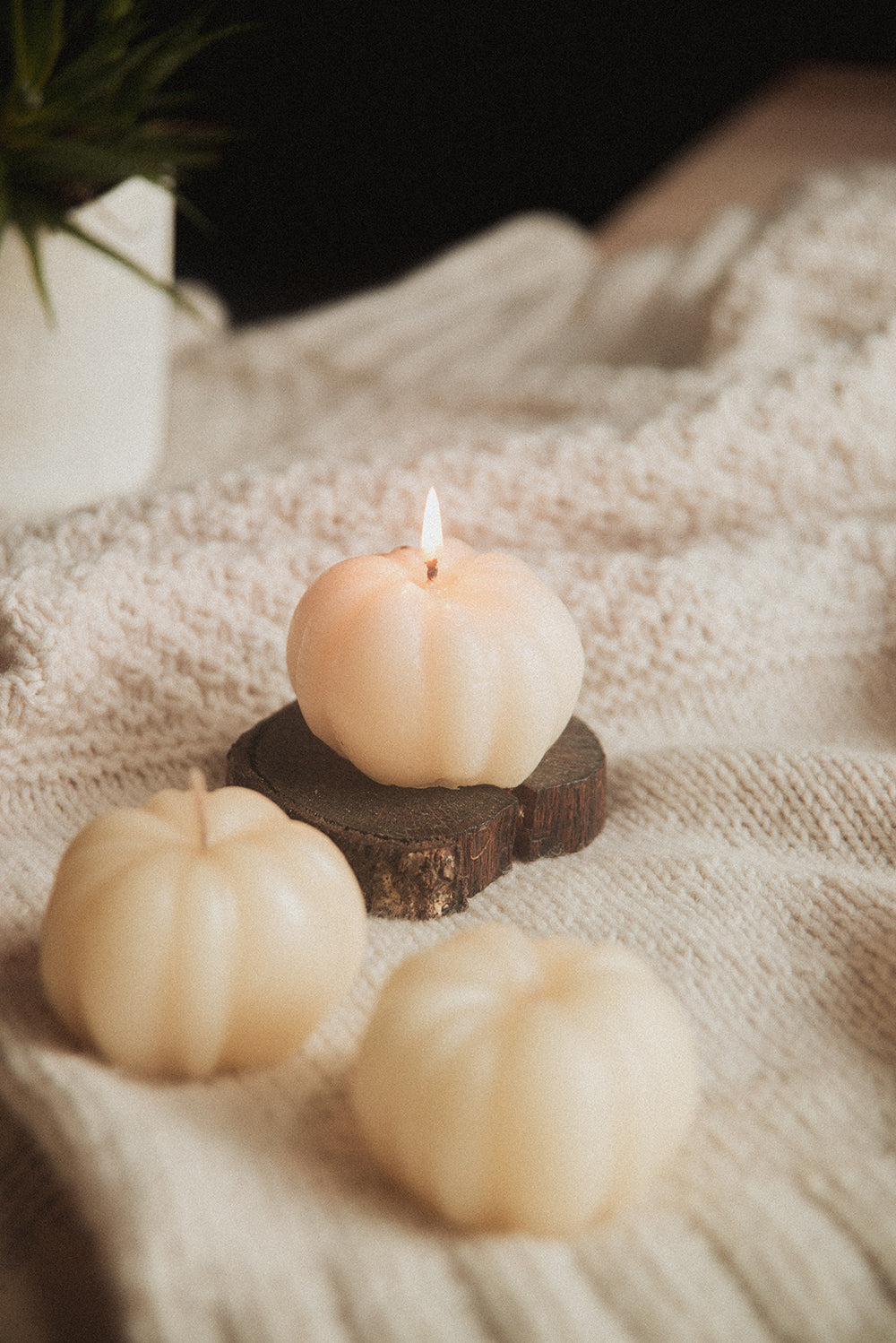 Beeswax Pumpkin Candle