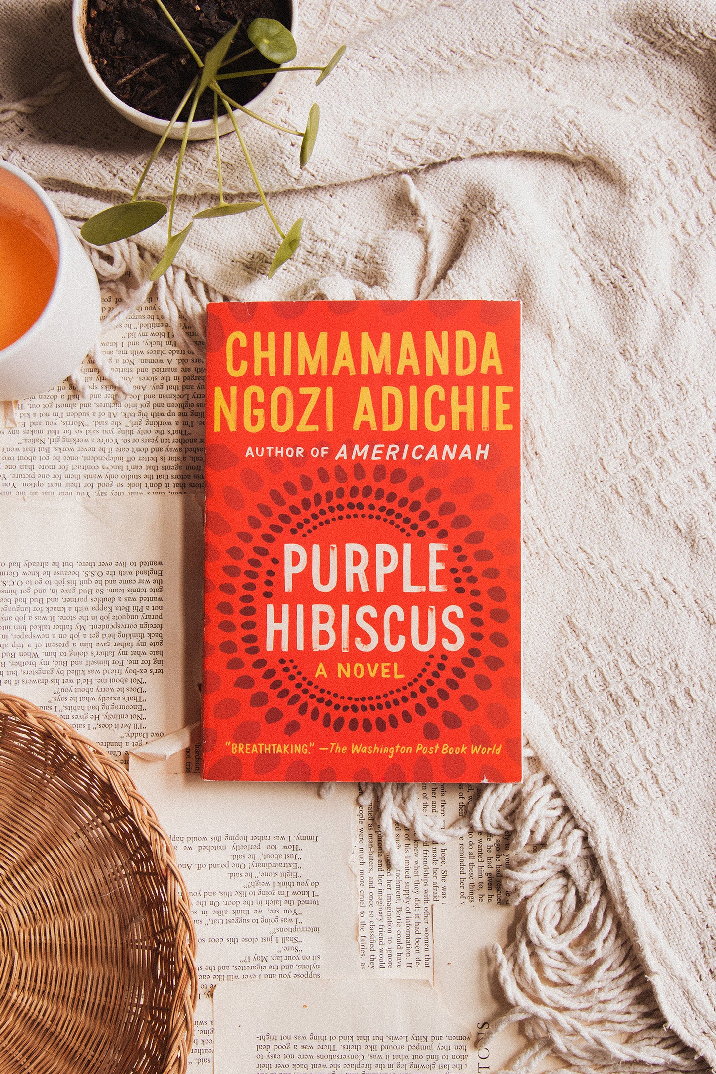 Purple Hibiscus by Chimamanda Ngozi Adichie