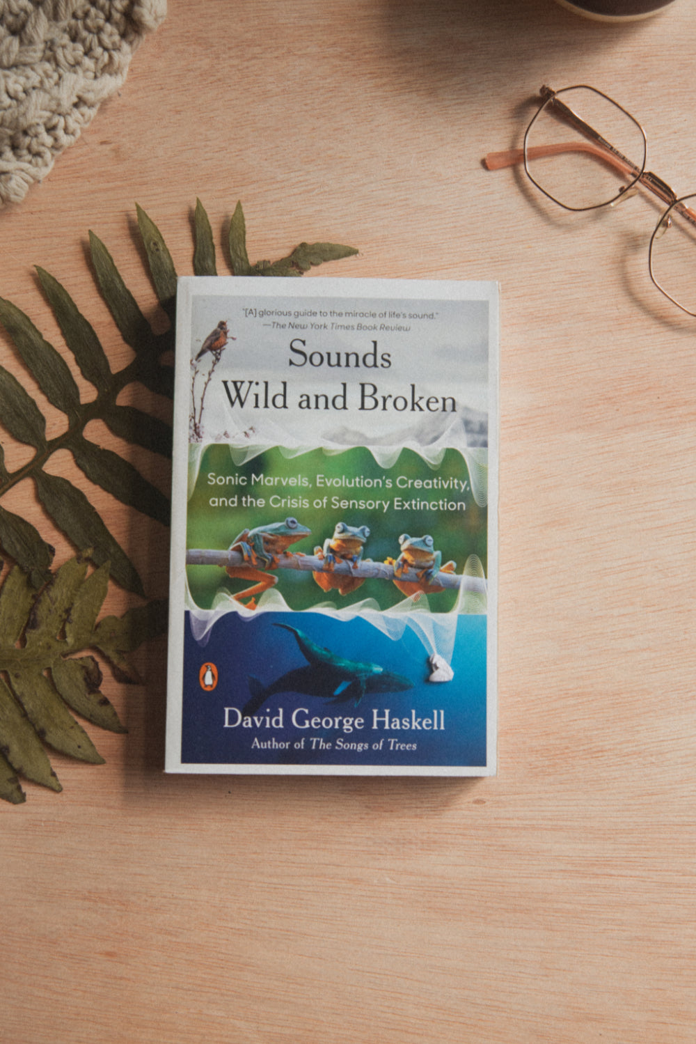 Sounds Wild and Broken