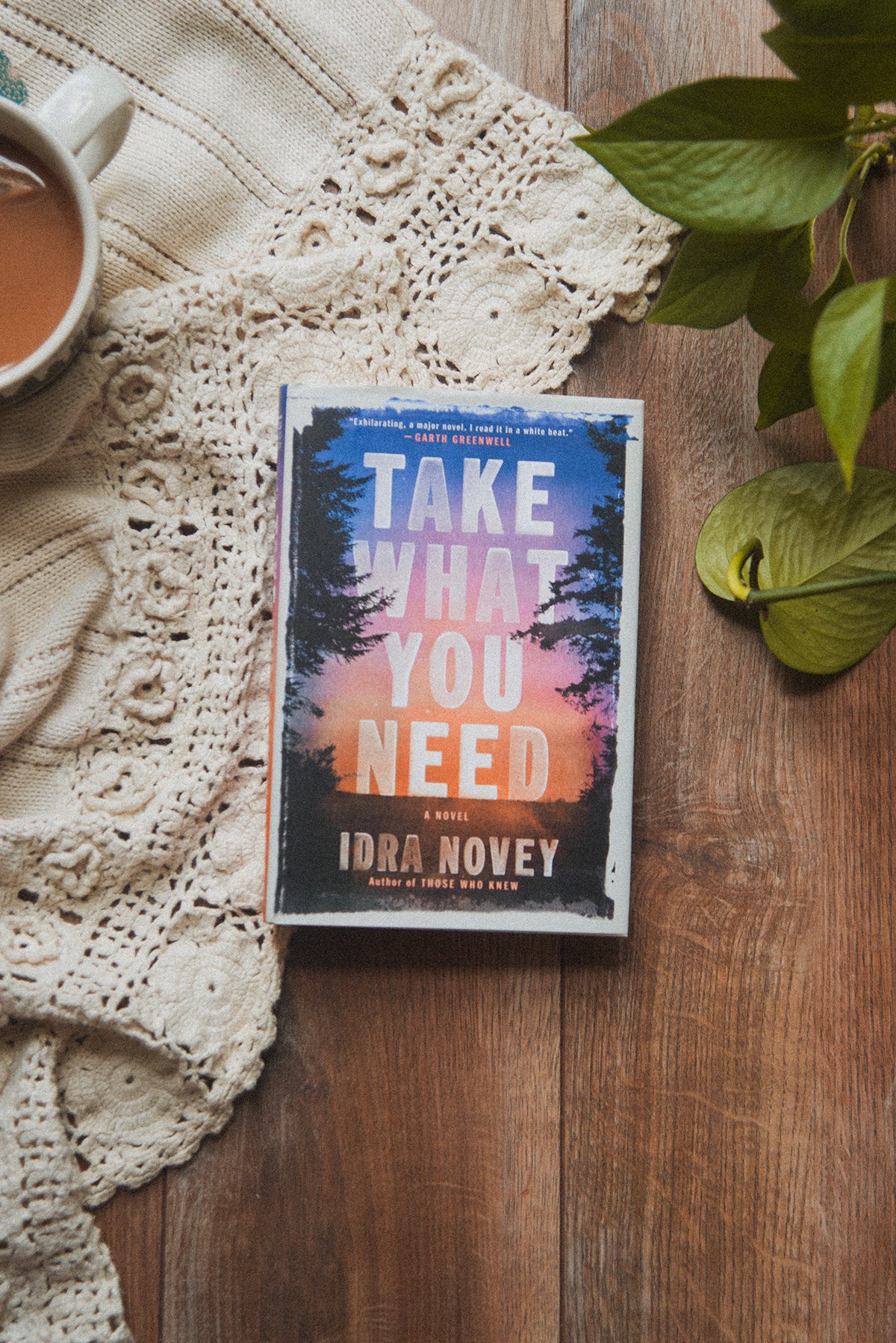 Take What You Need by Idra Novey