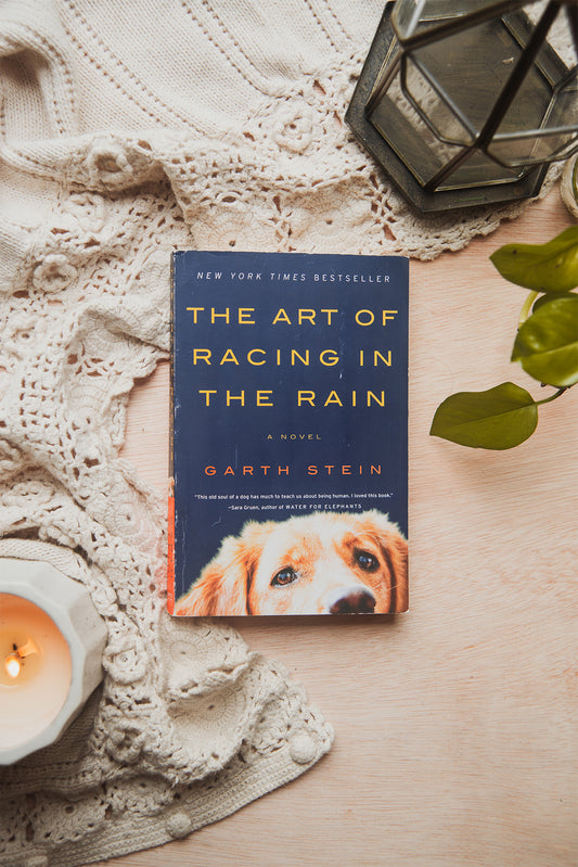 The Art of Racing in the Rain by Garth Stein