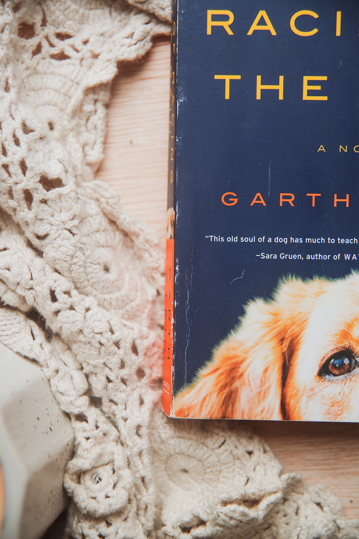The Art of Racing in the Rain by Garth Stein