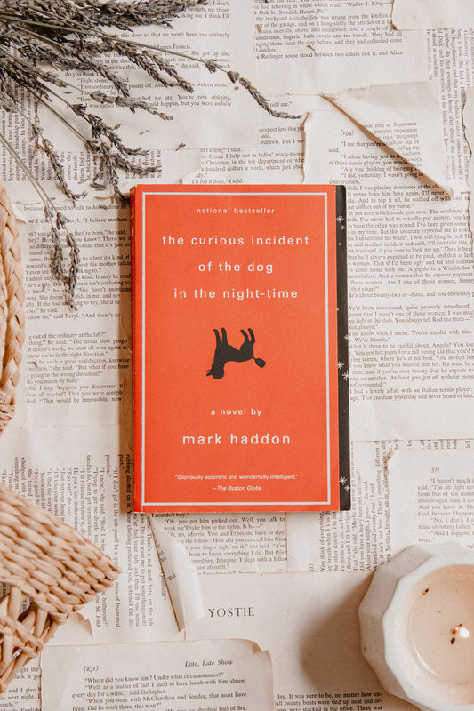 The Curious Incident of the Dog in the Night-time by Mark Haddon