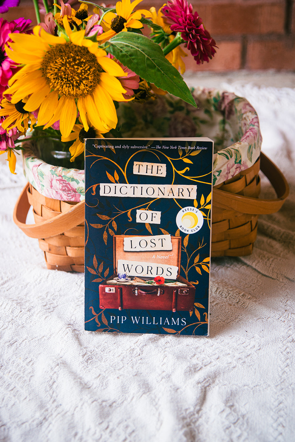 The Dictionary of Lost Words by Pip Williams