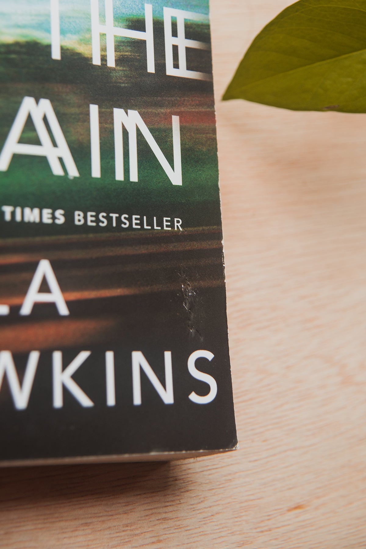 The Girl on the Train by Paula Hawkins