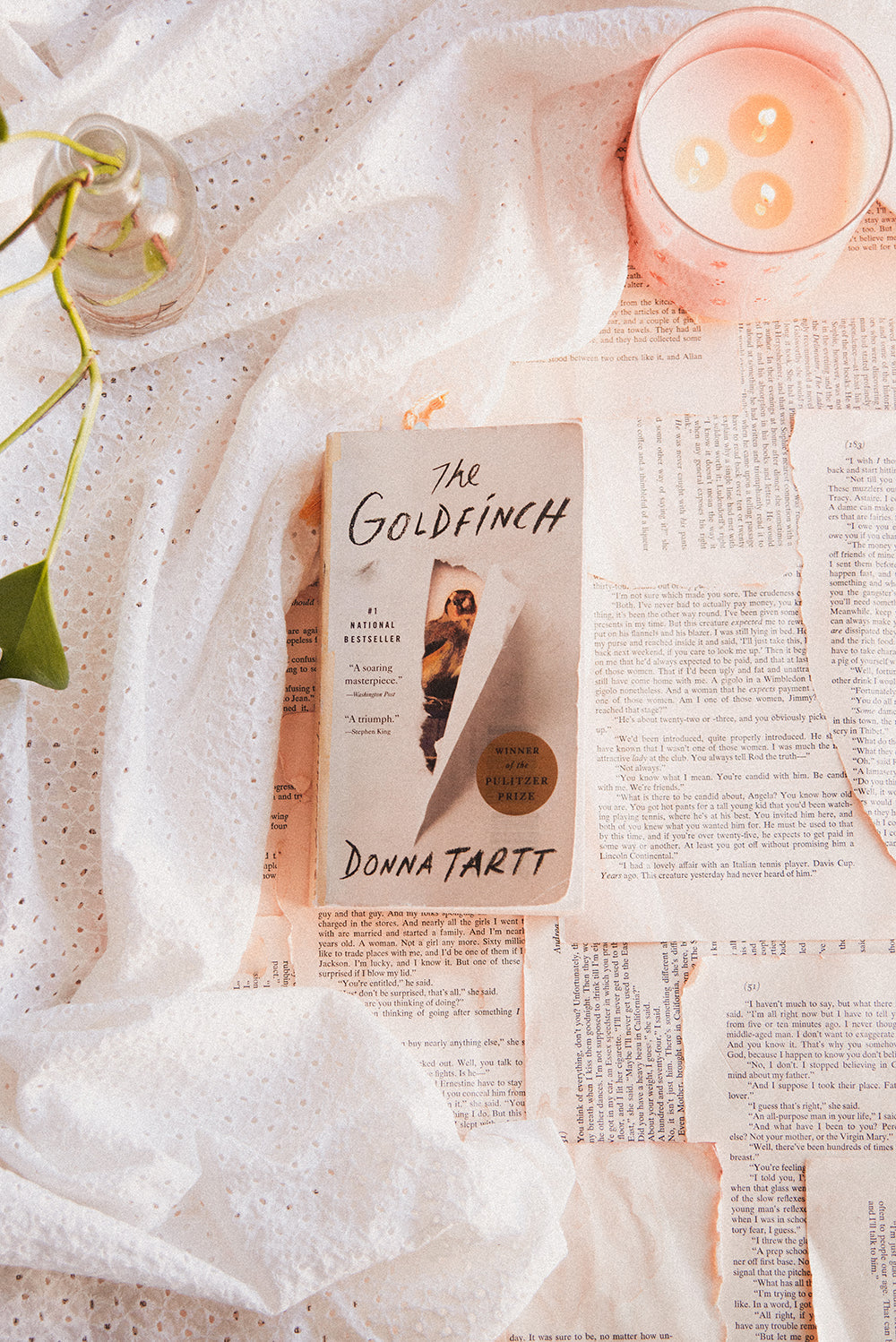 The Goldfinch by Donna Tart