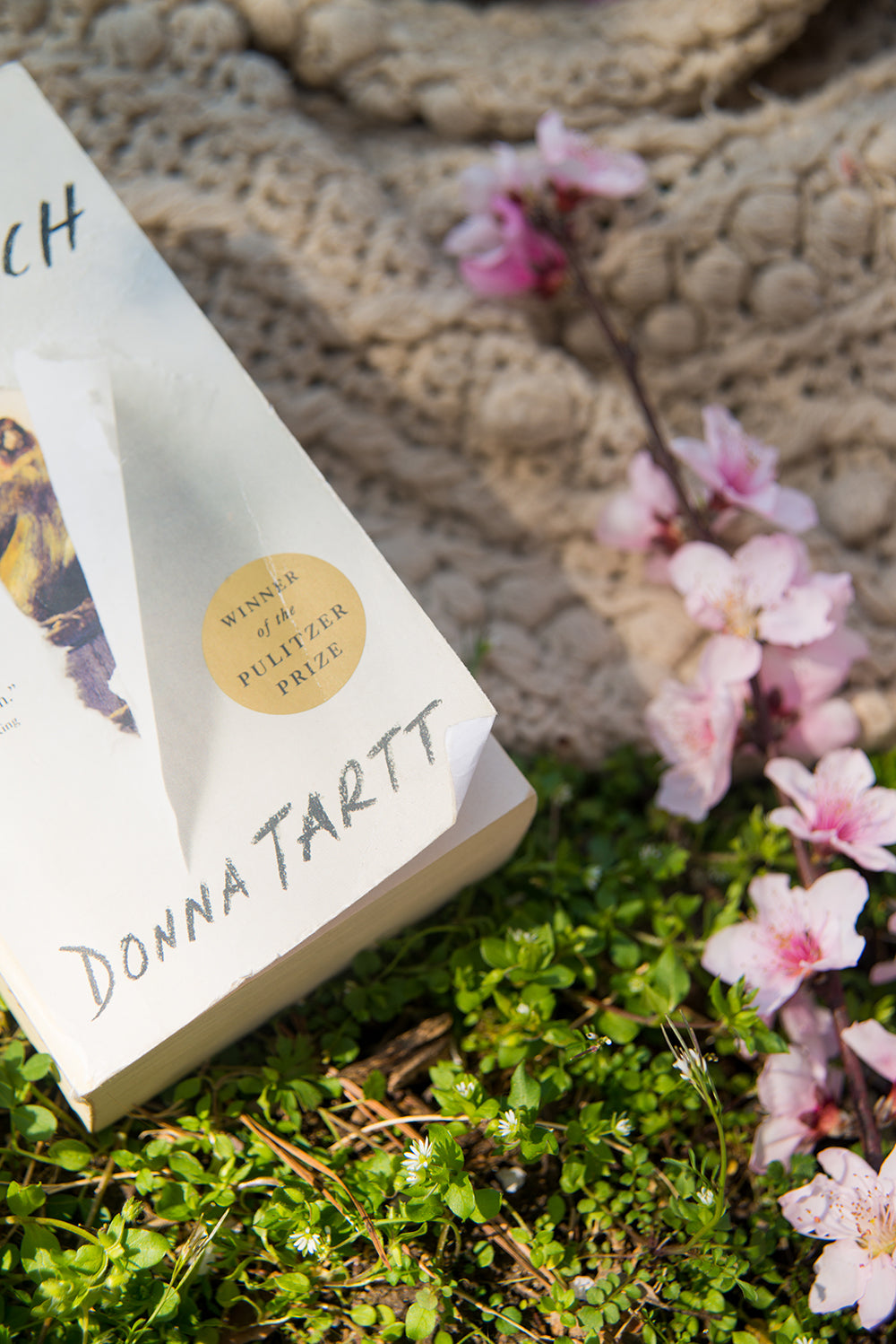 The Goldfinch by Donna Tart