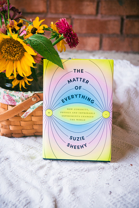 The Matter of Everything by Suzie Sheehy