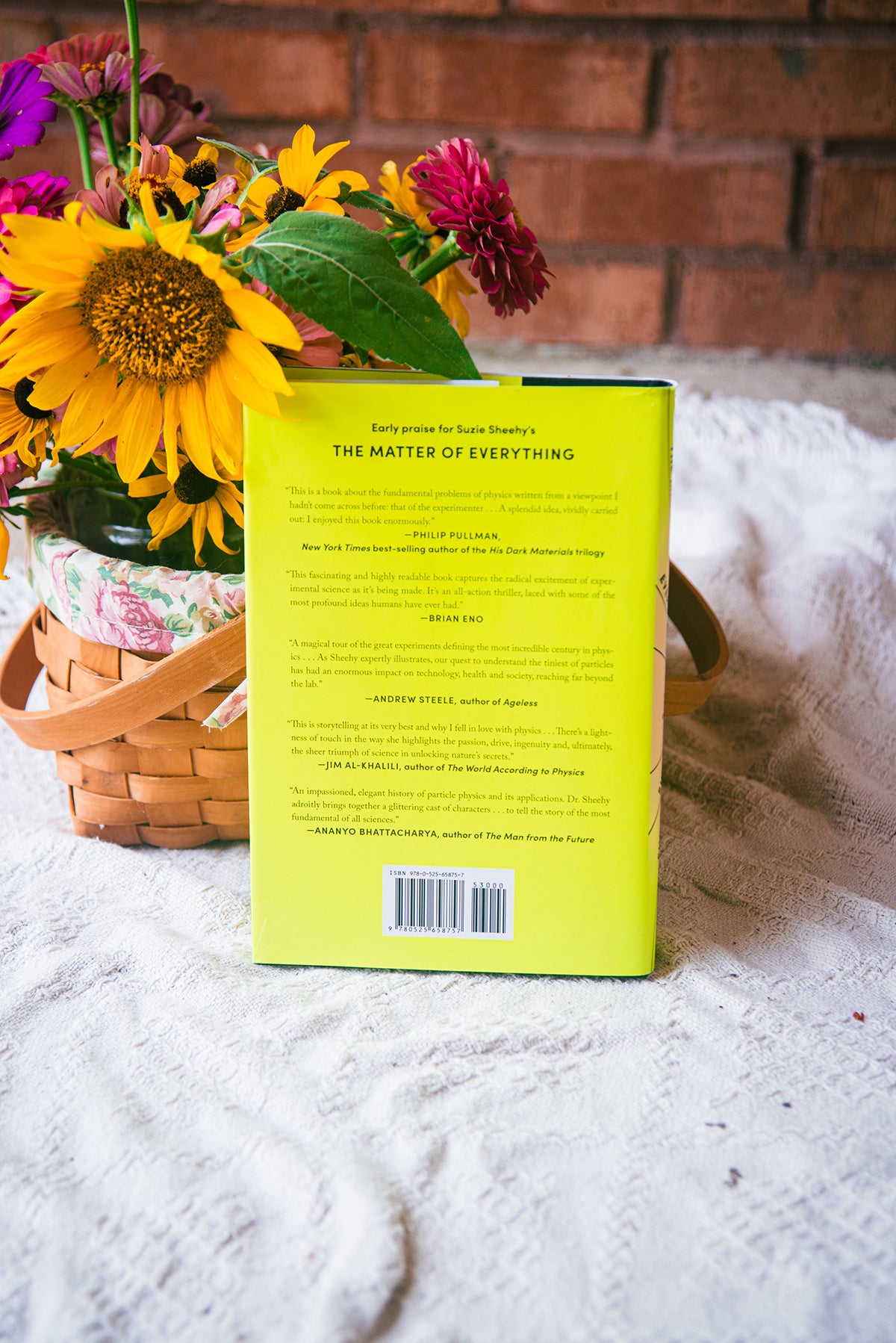 The Matter of Everything by Suzie Sheehy