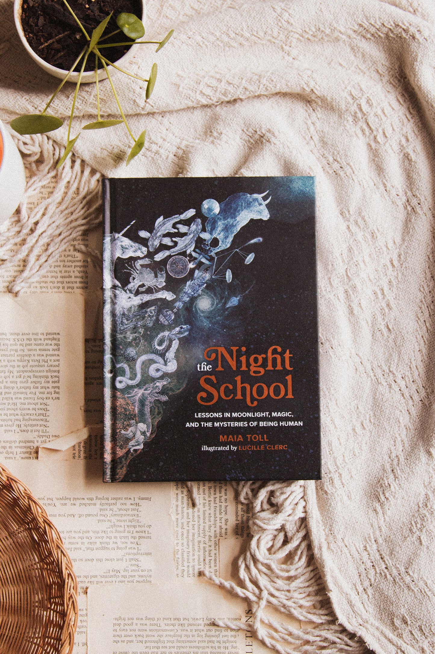 The Night School by Maia Toll