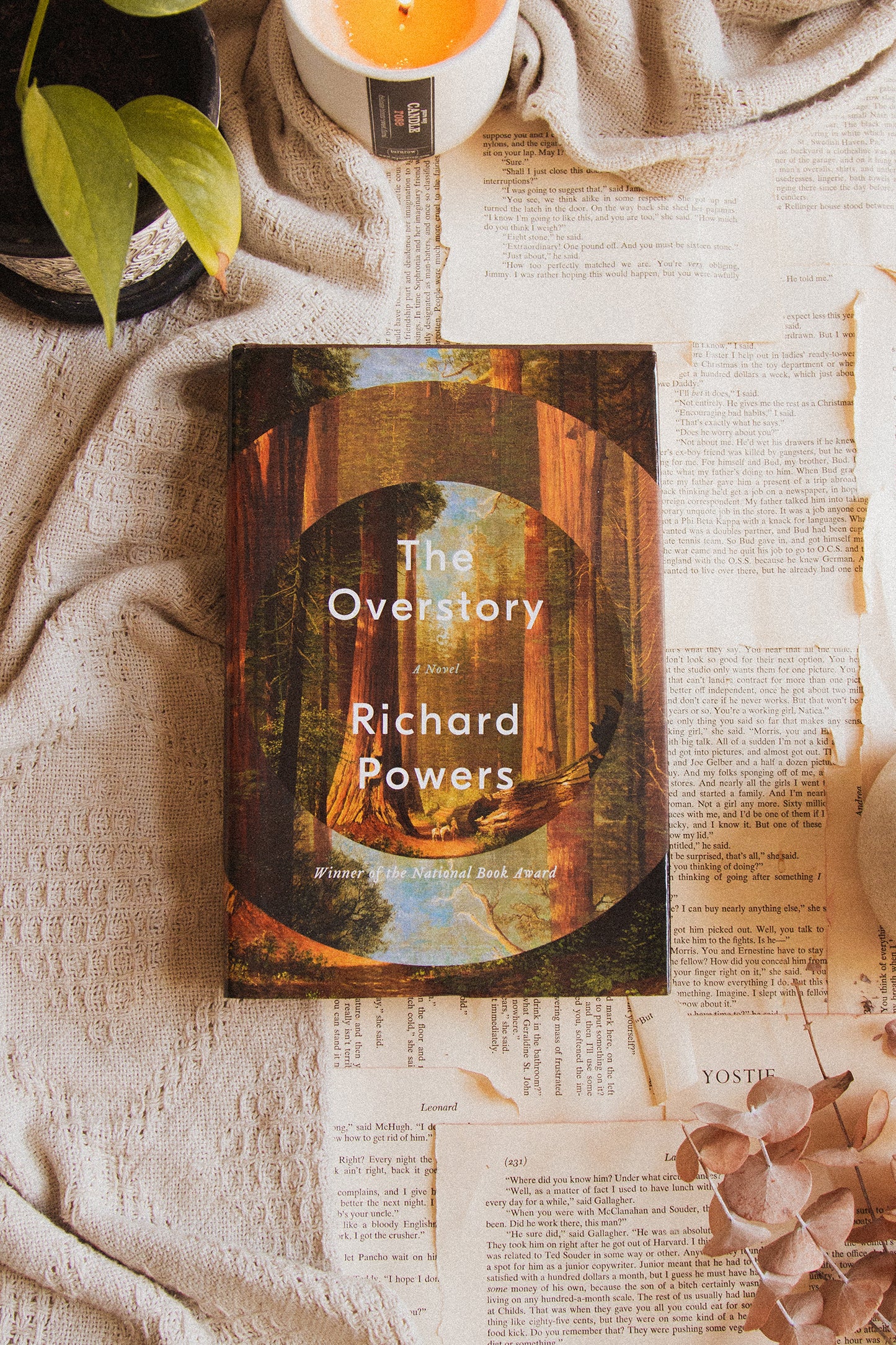 The Overstory by Richard Powers