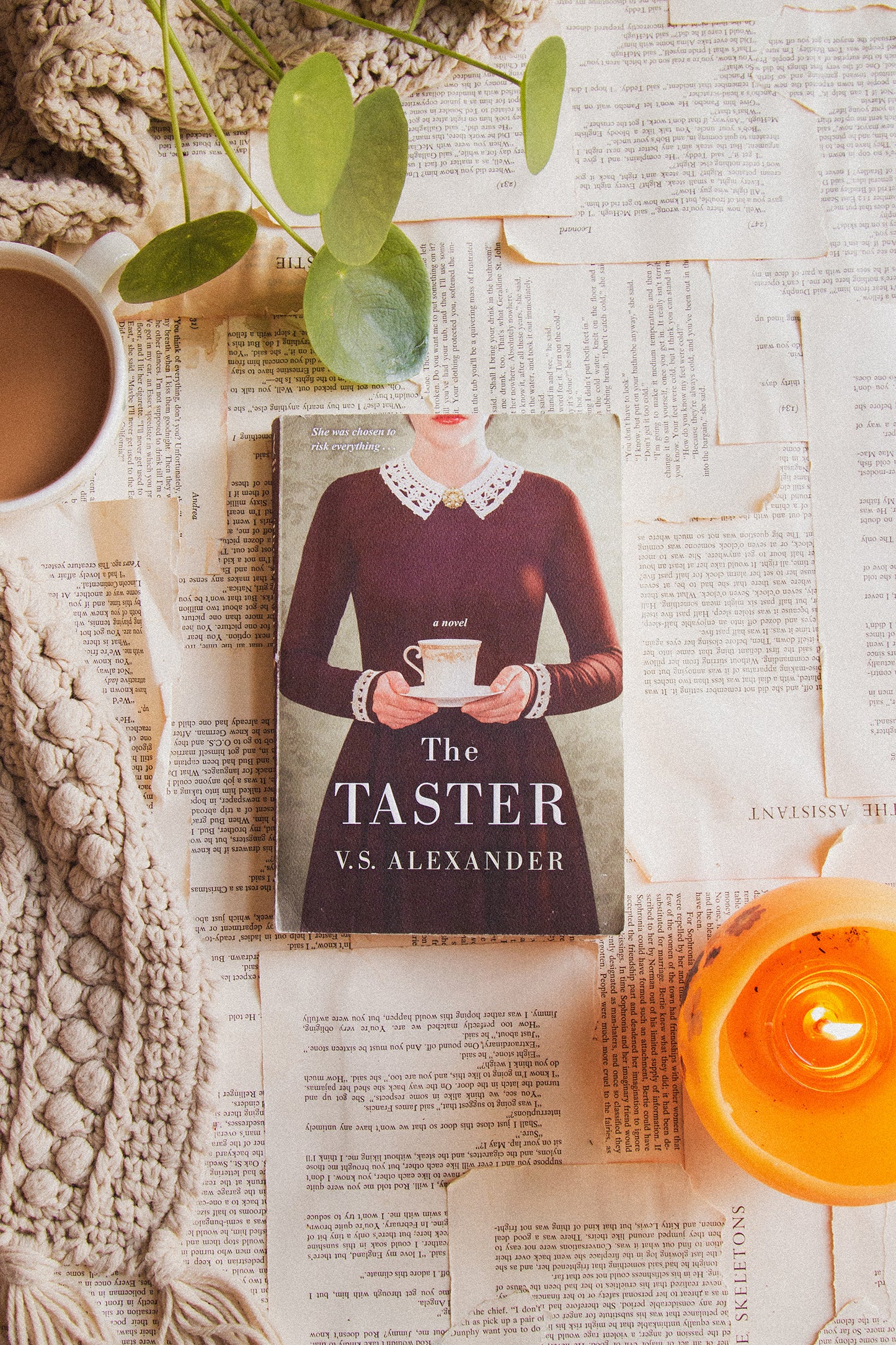 The Taster by V.S. Alexander