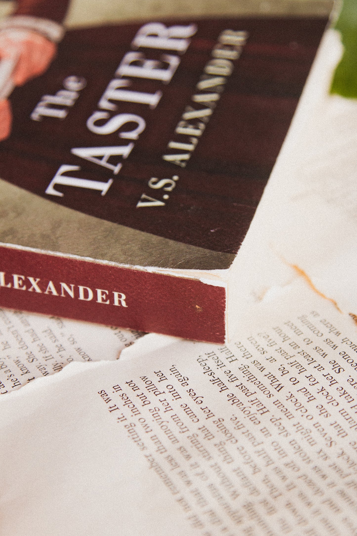 The Taster by V.S. Alexander