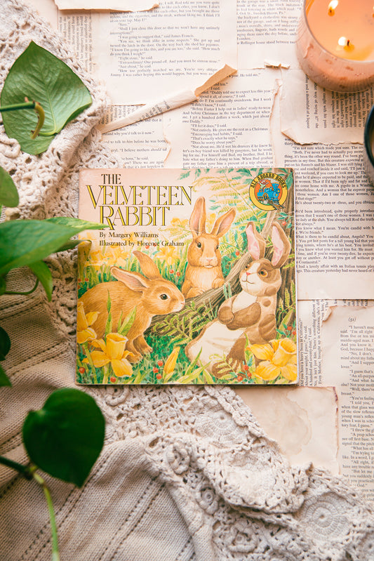 The Velveteen Rabbit by Margery Williams
