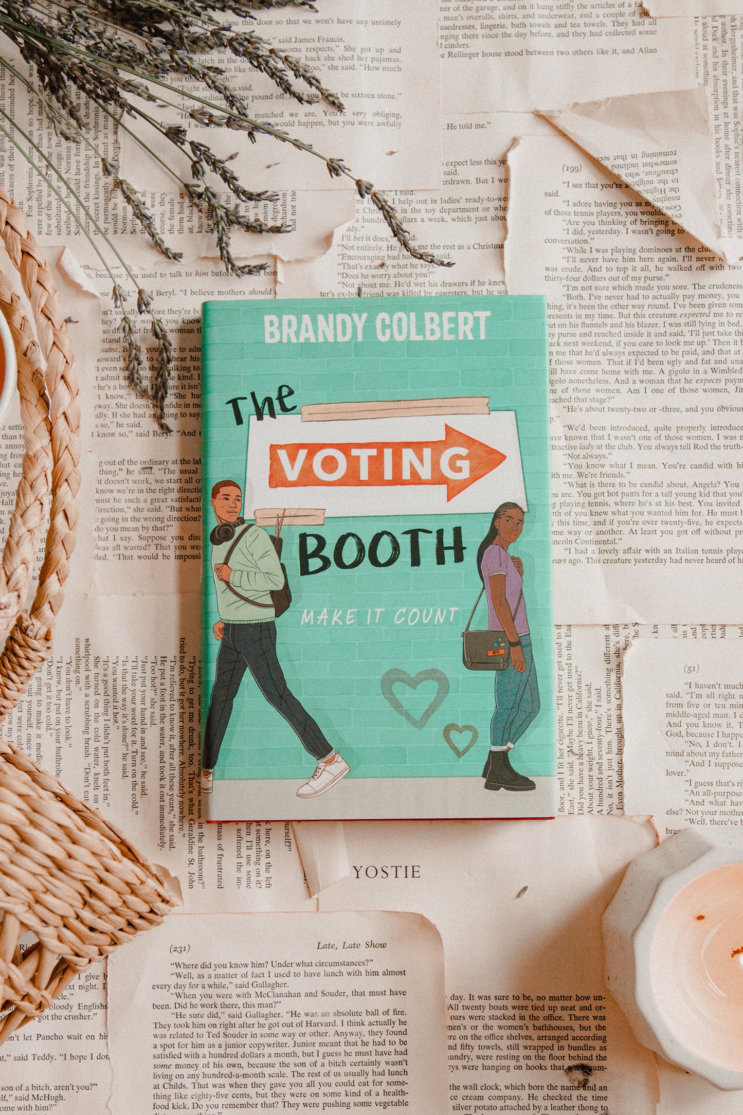 The Voting Booth by Brandy Colbert