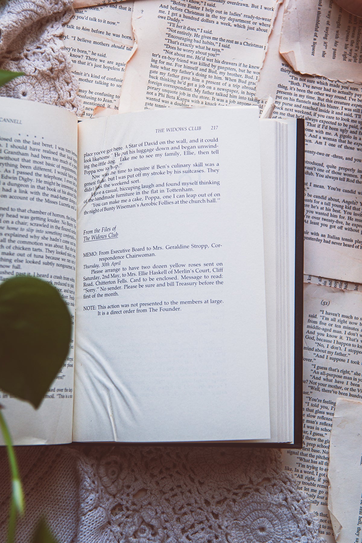 The Widow's Club by Dorothy Cannell