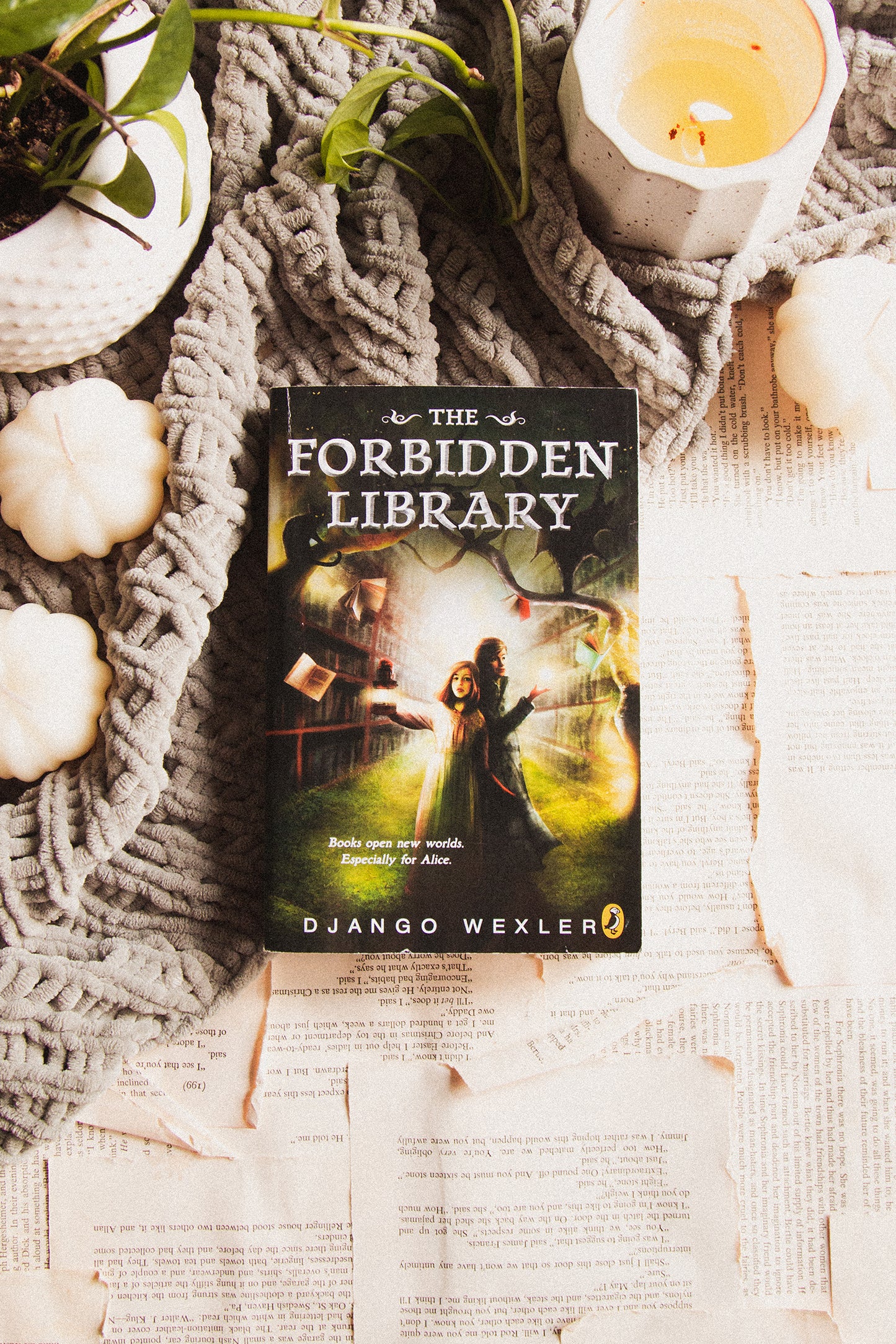 The Forbidden Library by Django Wexler