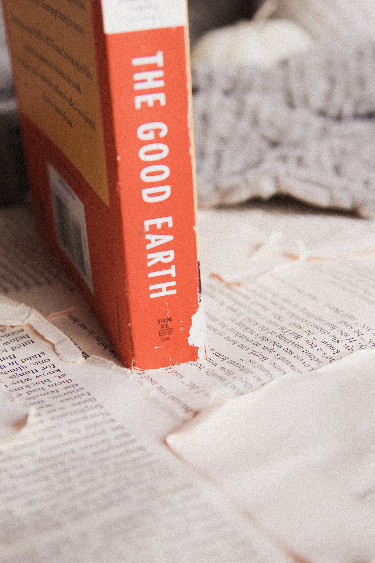 The Good Earth by Pearl S. Buck