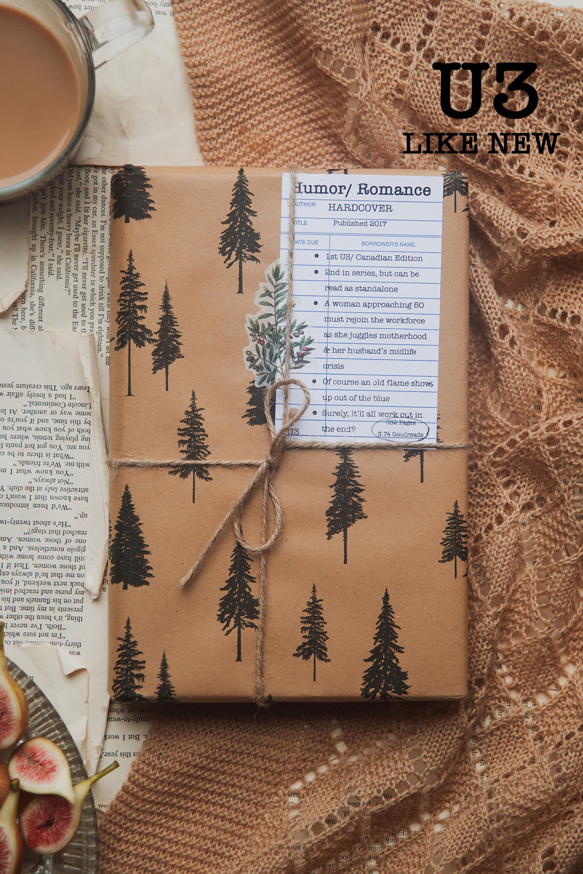 Surprise Date with a Book (Romance)