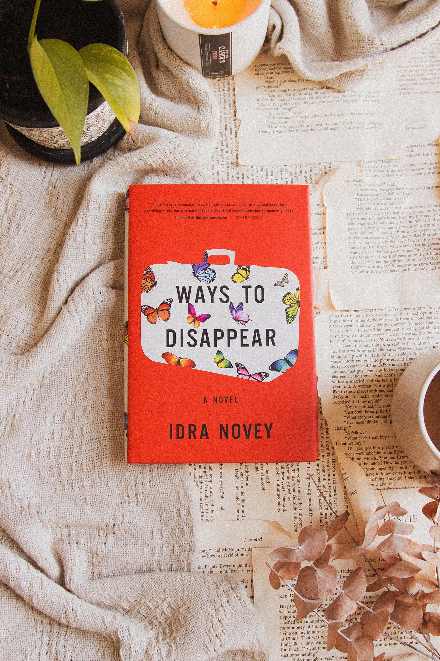 Ways to Disappear by Idra Novey