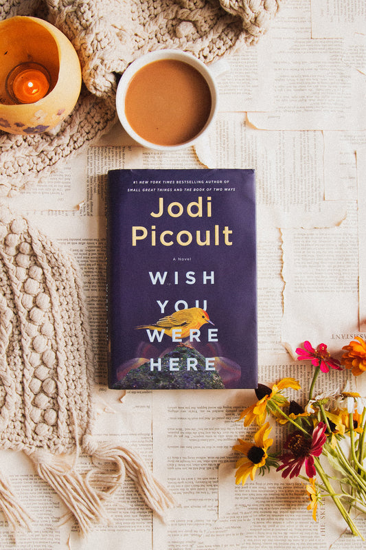 Wish You Were Here by Jodi Picoult