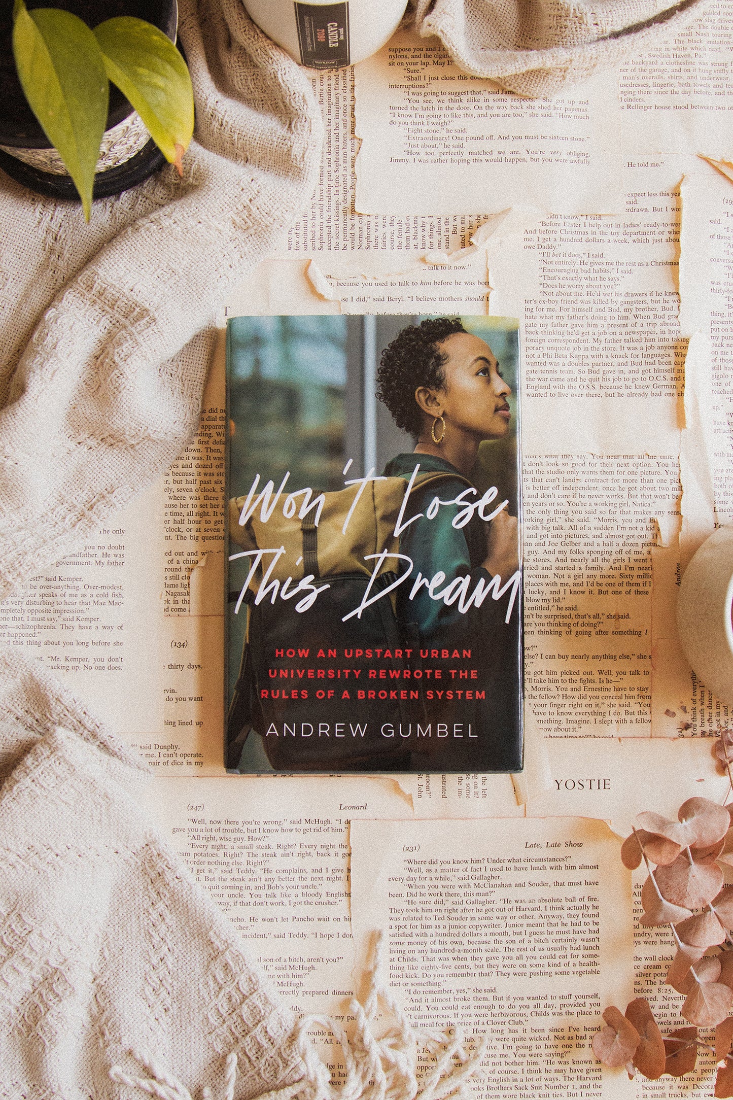 Won't Lose This Dream by Andrew Gumbel